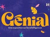 "GÉNIAL" : UNE EXPOSITION SUR LES INTELLIGENCES